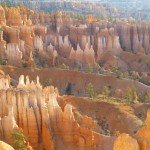 Bryce Hoodoos